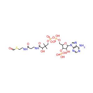Fatty acyl-coenzyme A